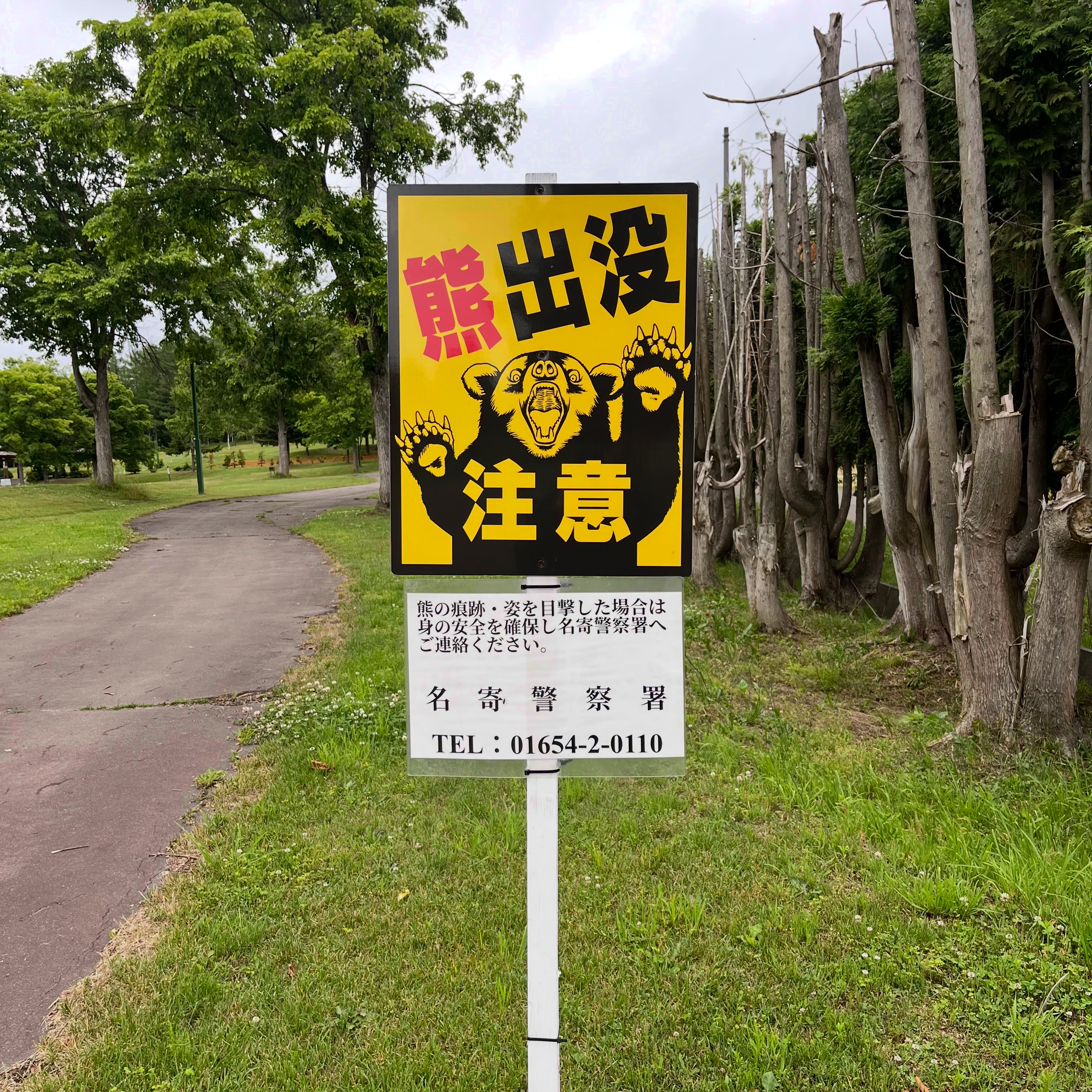 My news photo 5