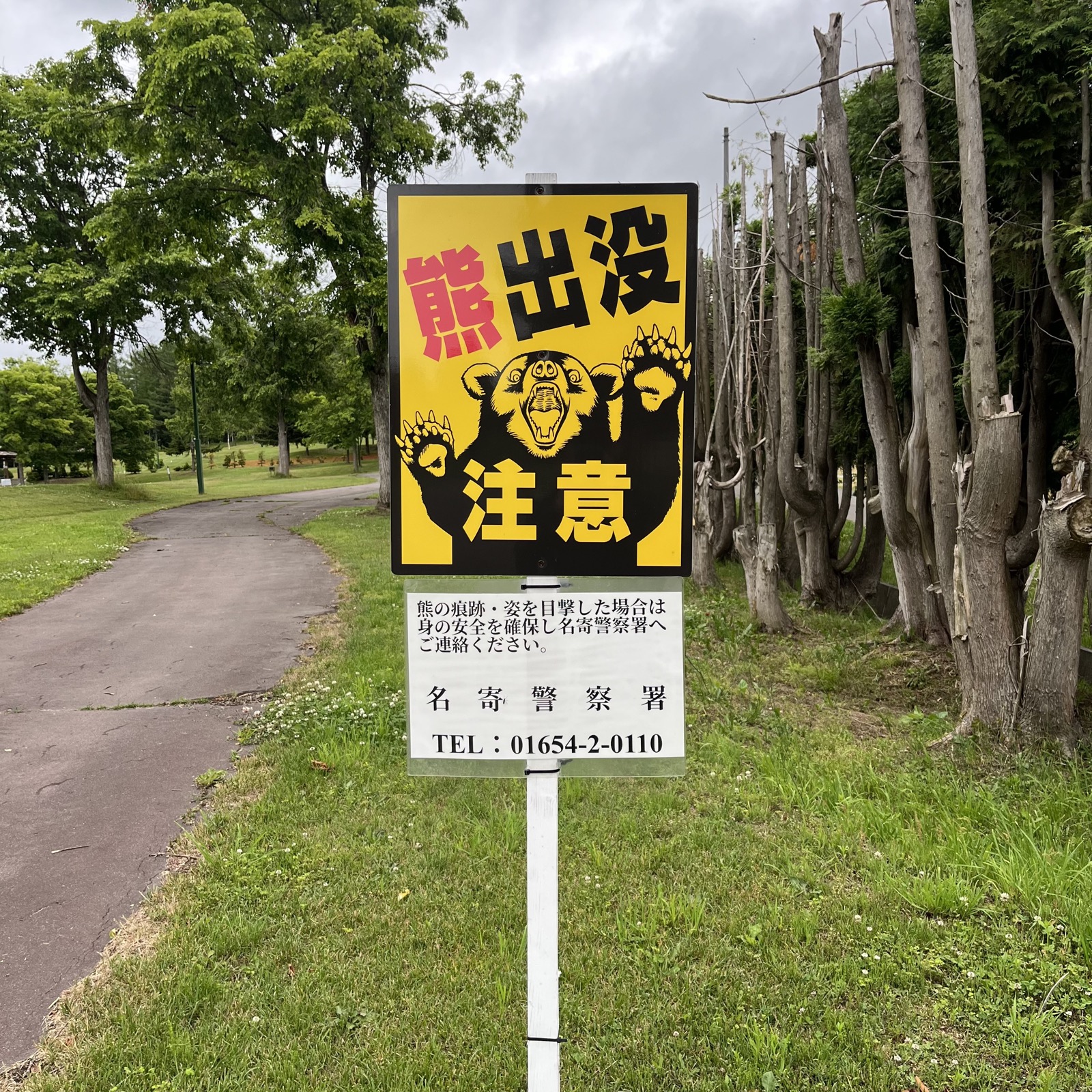 My news photo 5